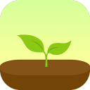 forest专注森林会员直装版 forest专注森林会员直装版