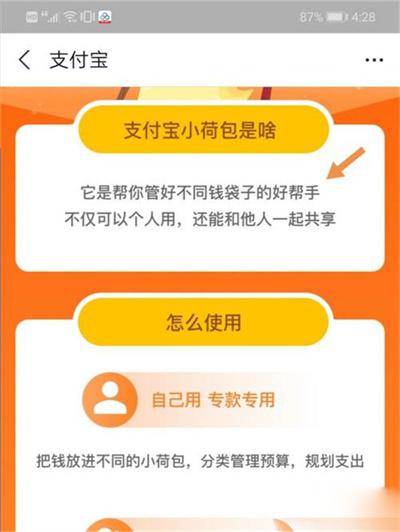 支付宝小荷包是什么意思