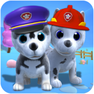 talking husky dog(会说话的哈士奇狗正版完整版) talking husky dog(会说话的哈士奇狗正版完整版)